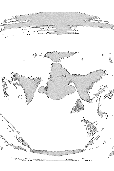 Avatar von LoS]Greg