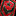 darkmarabou (Terraner) Terraner
